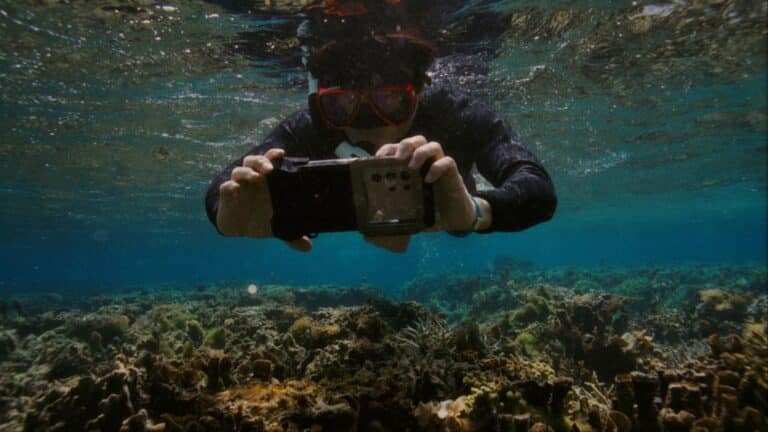 samsung coral