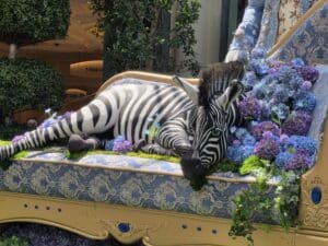 Zebra sleeping on a couch sculpture