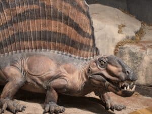 Dimetrodon sculpture