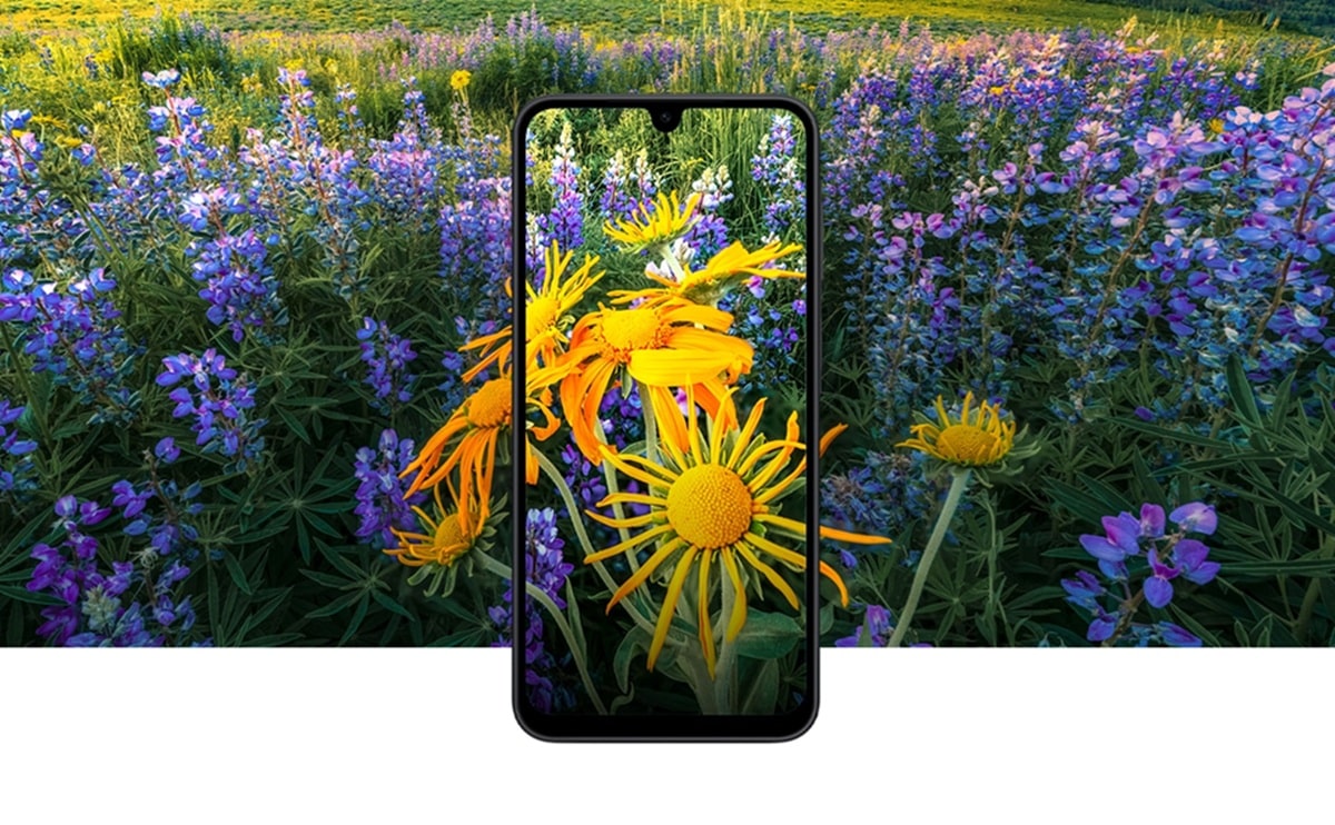 Galaxy A17 5G display camera
