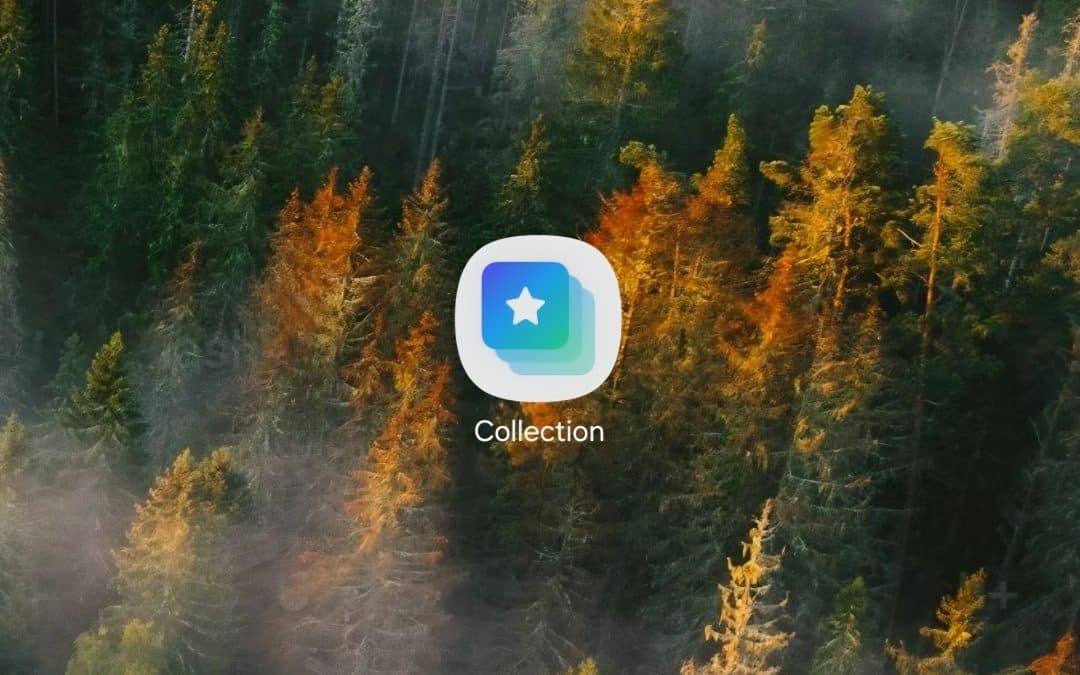 Meet Collections, Samsung One UI’s Take on Pixel Screenshots