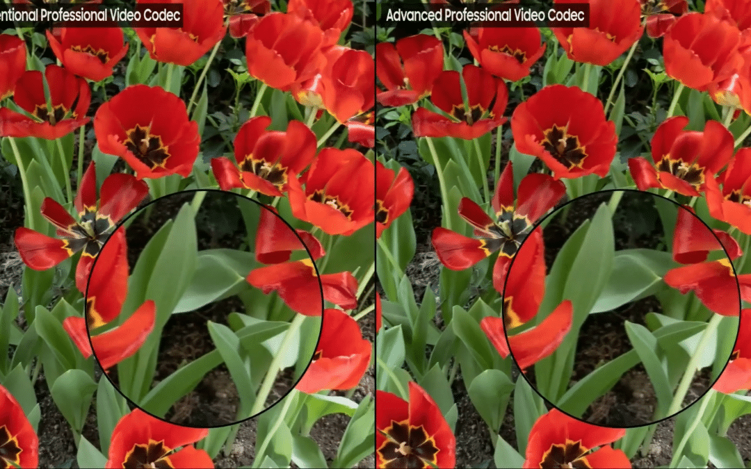 DaVinci Resolve Now Supports Samsung’s APV Video Codec