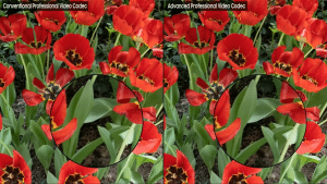 Standard Professional Codec vs APV Codec