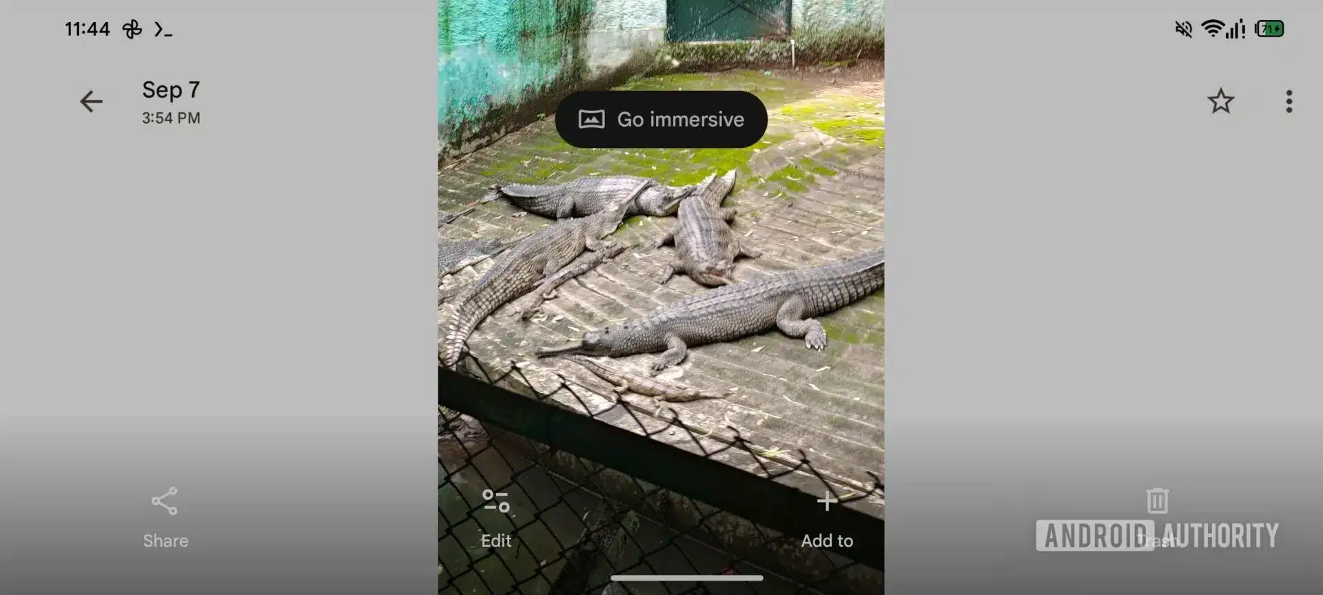 Google-Photos-go-immersive-Android-XR-1920w-864h.jpg