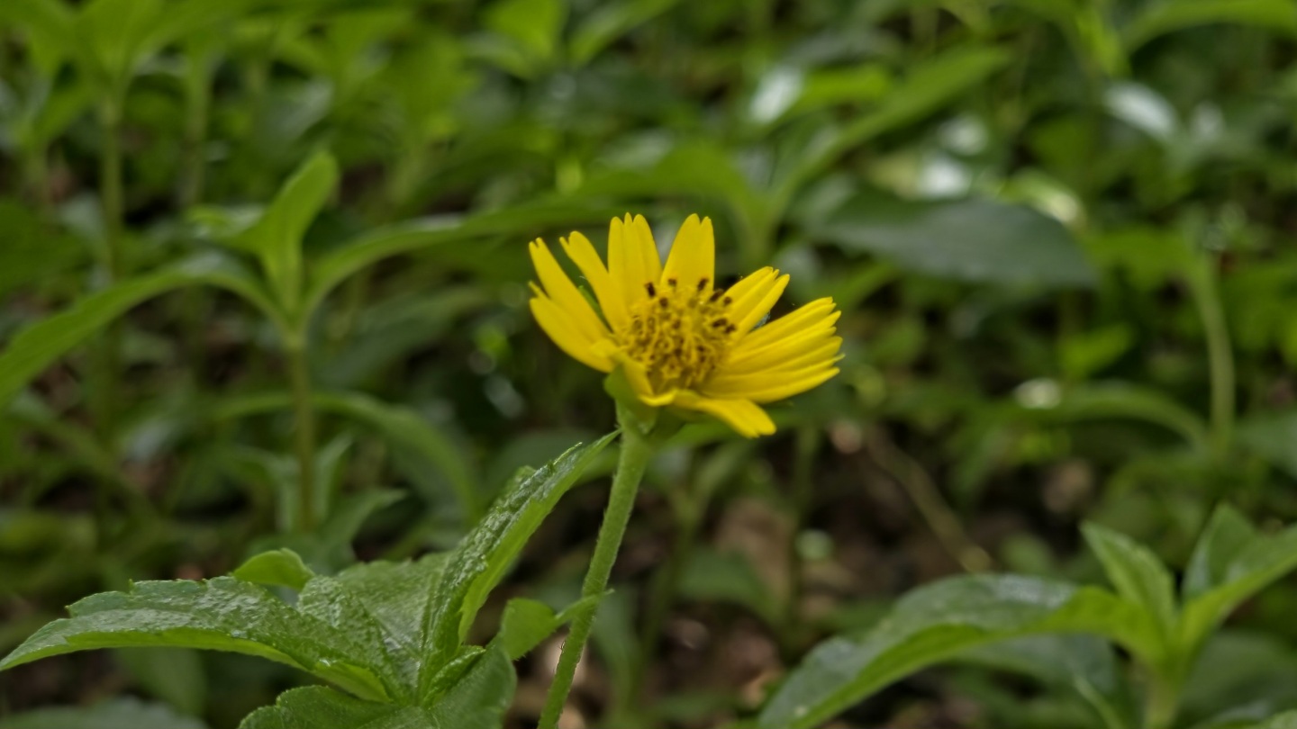 20260228_130334(1)(1)(1)