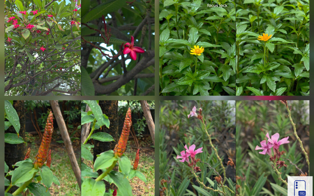 Galaxy S26 Ultra Portrait Video Guide: How to Get the Best Bokeh in Motion