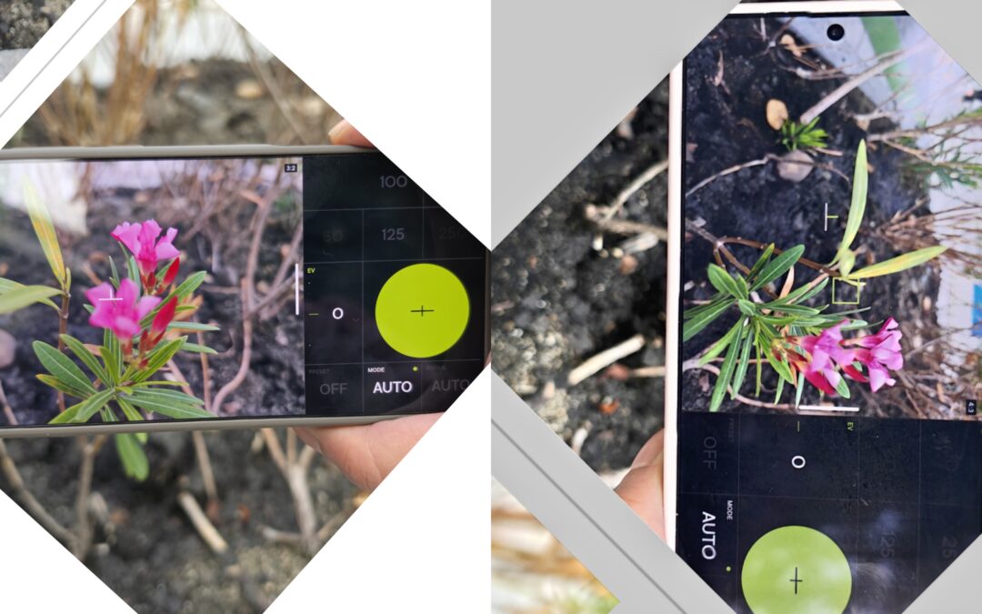 VWFNDR + MBL: True RAW Photography Returns to Android — But Samsung Users May Not Need It