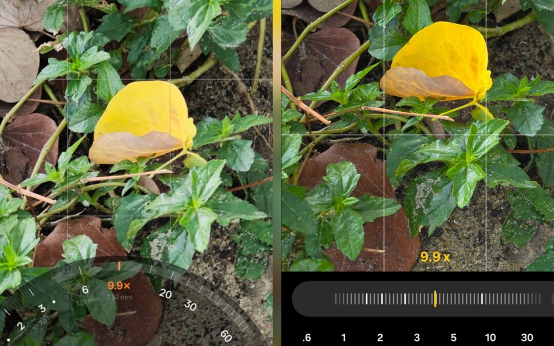 OPPO Find X9 Ultra vs Galaxy S26 Ultra: Which Camera App Is More Practical?