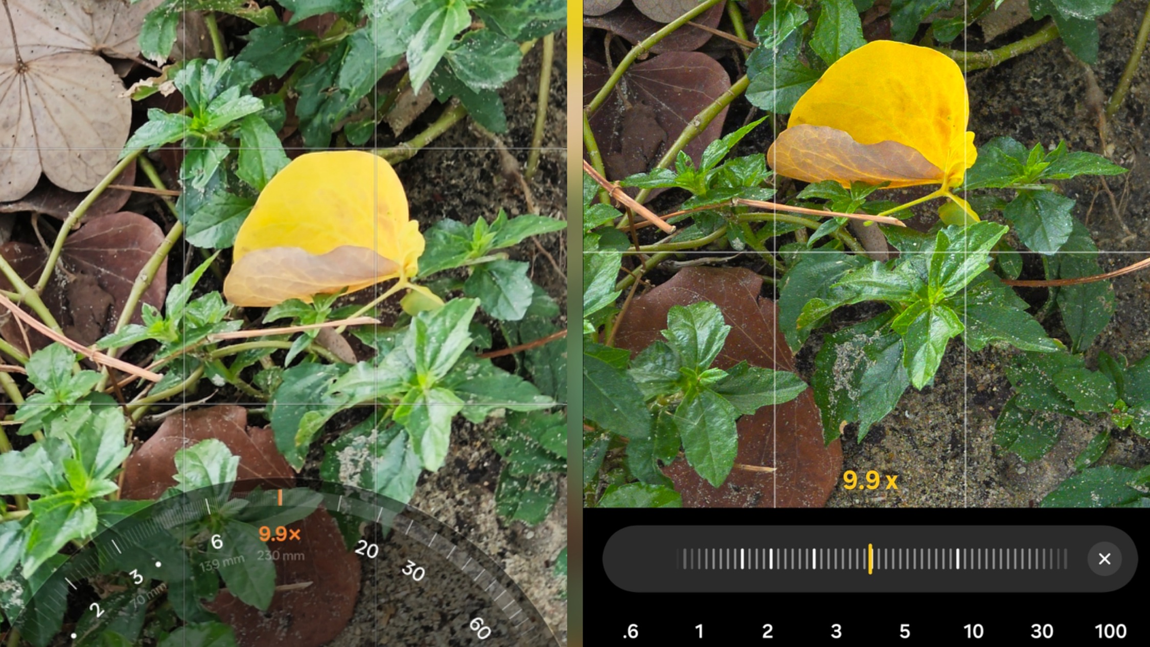 OPPO vs Samsung camera app