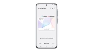 Samsung Wallet Passport CLEAR